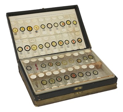 Lot 698 - A collection of over 130 glass microscope slides