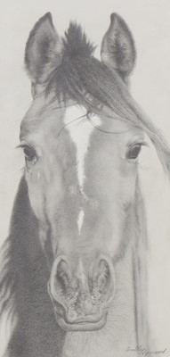 Lot 652 - Sally Hynard (20th century)