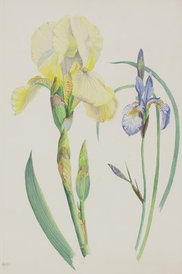 Lot 228 - Joan Warburton (1920-1996)