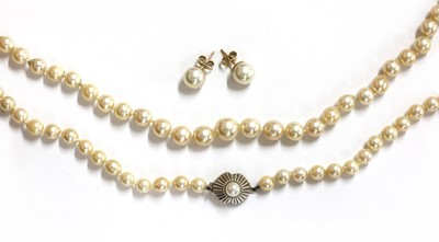 Lot 156 - A pair of gold cultured pearl stud earrings