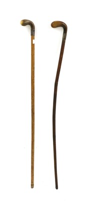 Lot 261 - A silver-mounted bull's pizzle walking stick