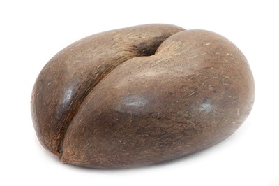 Lot 168 - A sea coconut or coco de mer, (Lodoicea maldivica) Seychelles