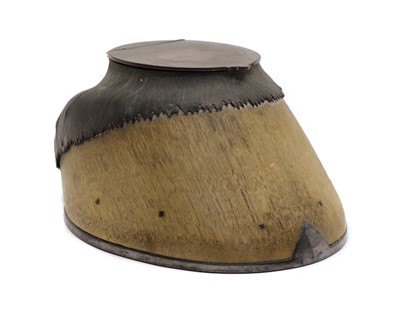 Lot 186 - A Rowland Ward silver plated horseshoe inkwell