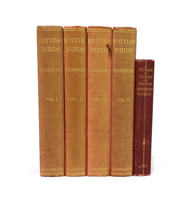 Lot 197 - Natural History