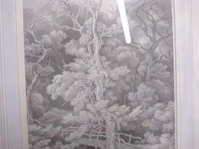 Lot 670 - John White Abbott (1763-1851)