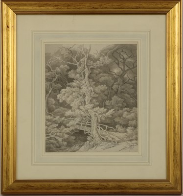 Lot 670 - John White Abbott (1763-1851)
