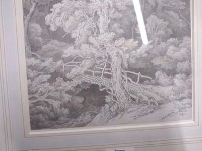 Lot 670 - John White Abbott (1763-1851)