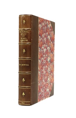 Lot 15 - Mantell, Gideon Algernon: A Pictorial Atlas of Fossil Remains