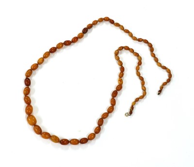 Lot 147 - A single row graduated butterscotch amber bead necklace