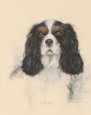 Lot 537 - Marjorie Cox (1915-2003)
