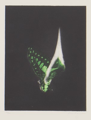 Lot 257 - Mat Collishaw (b.1966)