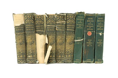 Lot 21 - 1- Hume and Marshall
