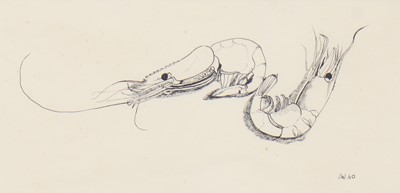 Lot 17 - Joan Warburton (1920-1996)