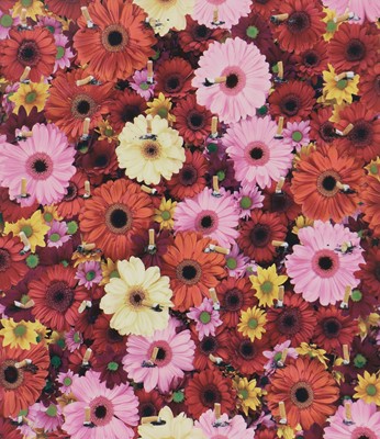 Lot 357 - Damien Hirst (b.1965)