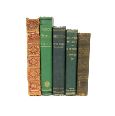 Lot 17 - WALLACE (Alfred Russel): 1- Island Life.
