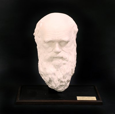 Lot 381 - CHARLES DARWIN