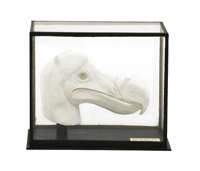 Lot 386 - THE DODO