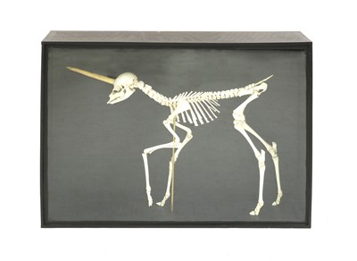 Lot 27 - UNICORN