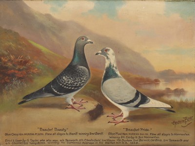 Lot 541 - Andrew Beer (1862-1954)