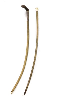 Lot 153 - A bull's pizzle walking stick