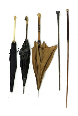Lot 257A - A palm wood swagger stick