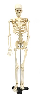 Lot 571 - MINIATURE MAN