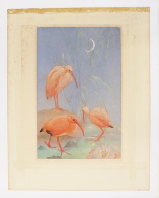 Lot 124 - Edward Julius Detmold (1883-1957)