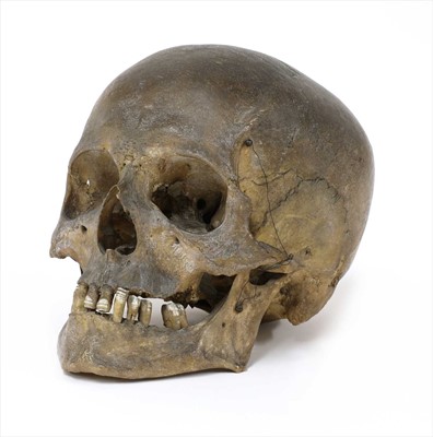 Lot 169 - A MALE HUMAN SKULL