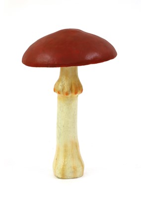 Lot 79 - TOADSTOOL