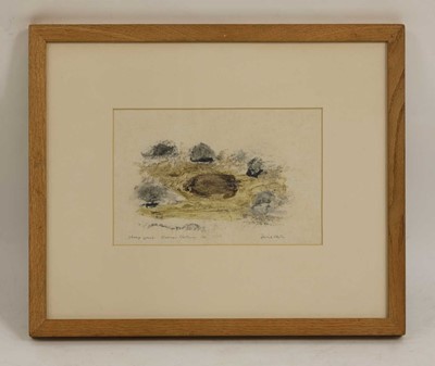 Lot 284 - David Nash RA (b.1945)