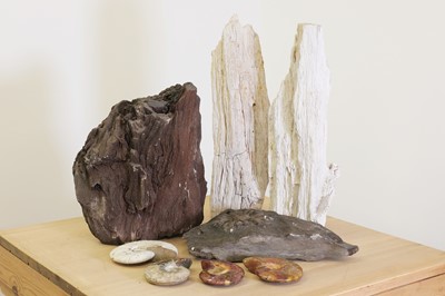 Lot 13 - A pair of petrified tree fragments