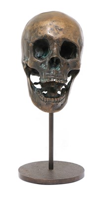 Lot 336 - SKULL