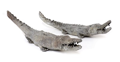 Lot 599 - CROCODILES