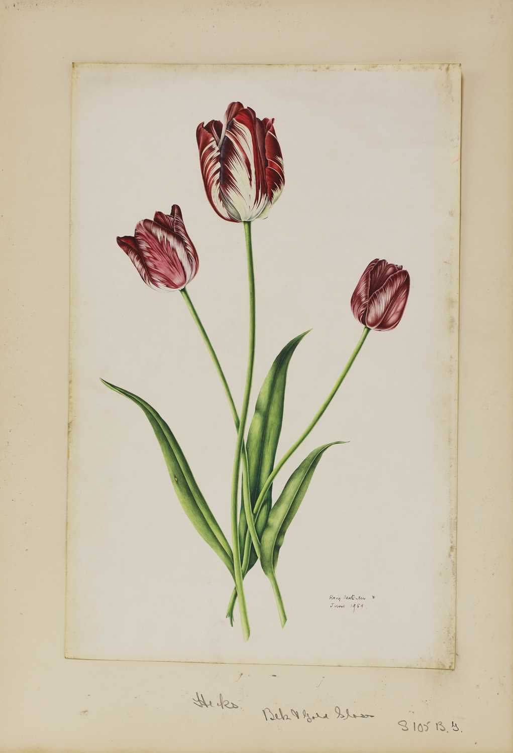 Lot 175 - Rory McEwen (1932-1982)