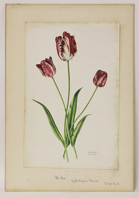 Lot 175 - Rory McEwen (1932-1982)