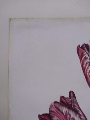 Lot 175 - Rory McEwen (1932-1982)