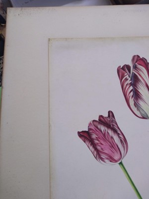 Lot 175 - Rory McEwen (1932-1982)