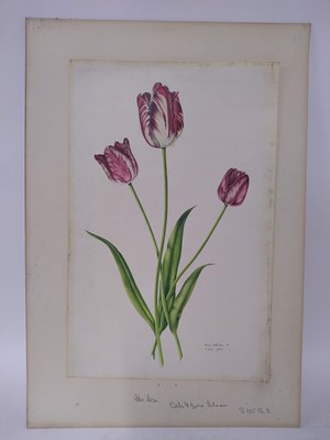 Lot 175 - Rory McEwen (1932-1982)