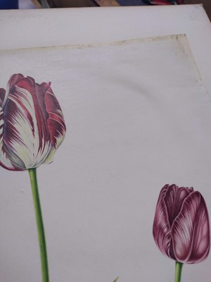 Lot 175 - Rory McEwen (1932-1982)
