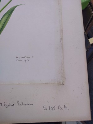 Lot 175 - Rory McEwen (1932-1982)