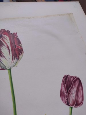 Lot 175 - Rory McEwen (1932-1982)