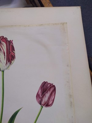 Lot 175 - Rory McEwen (1932-1982)