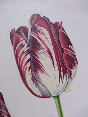Lot 175 - Rory McEwen (1932-1982)