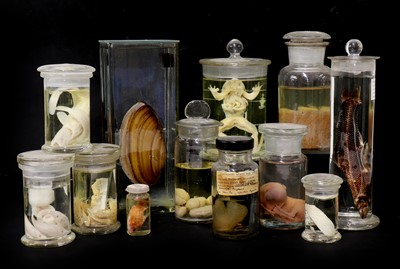 Lot 51 - FORMALDEHYDE