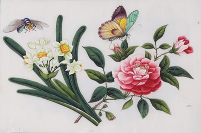 Lot 135 - An album of Chinese pith paper paintings