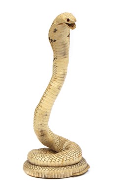Lot 567 - INDIAN COBRA