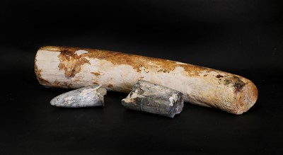 Lot 404 - WOOLLY MAMMOTH