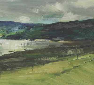 Lot 267 - Emerson Mayes (b.1972)