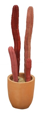 Lot 378 - Two painted cacti displays