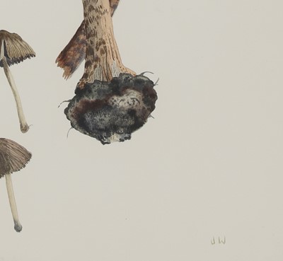 Lot 72 - Joan Warburton (1920-1996)